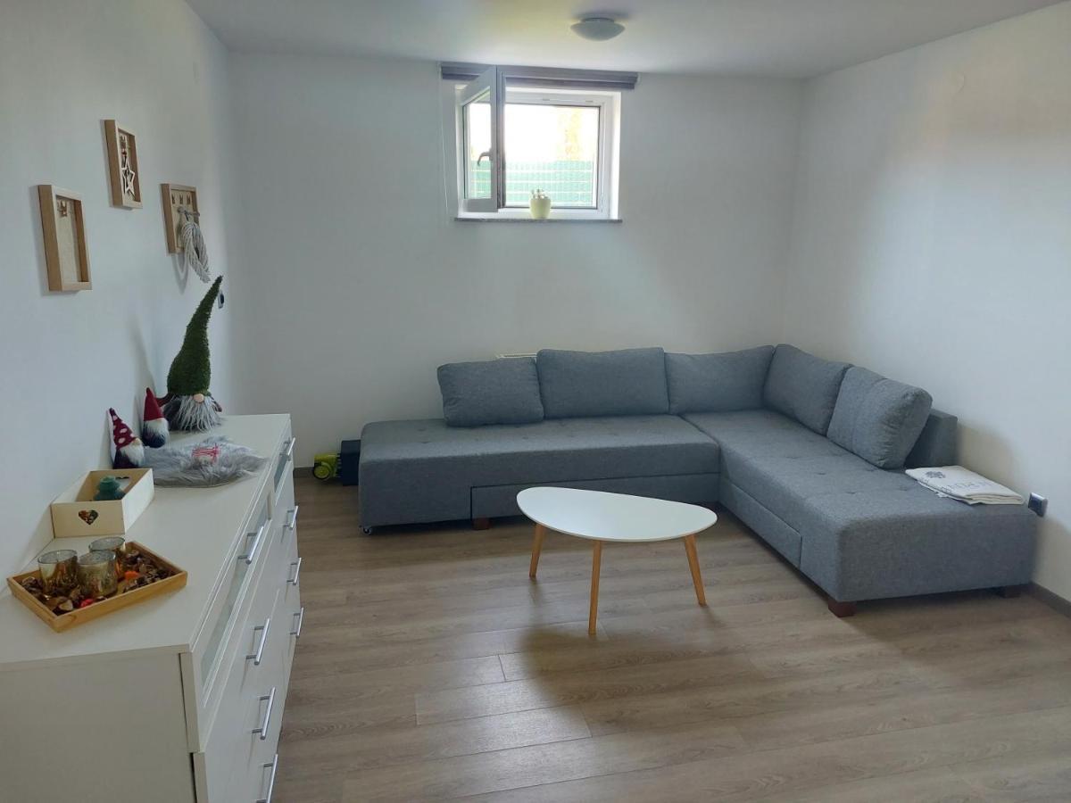 Spring And Summer Apartment Near Ljubljana With Free Secure Parking Domzale Exterior photo